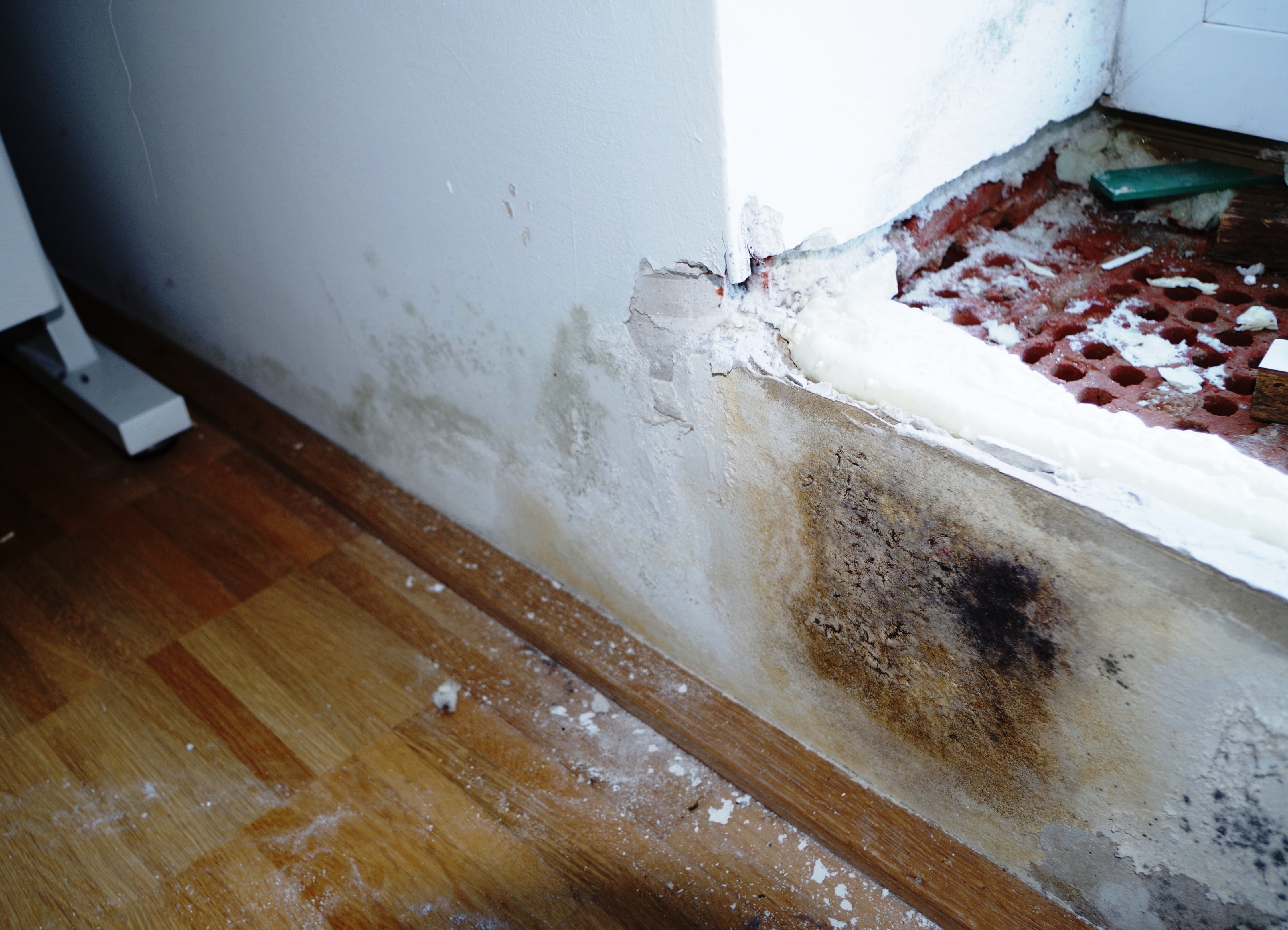 Schimmel und Kondenswasser